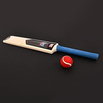Children'S Medium Size 3,5 Cricket Set Wooden Bat Ball Stumps Bails Garden Beach